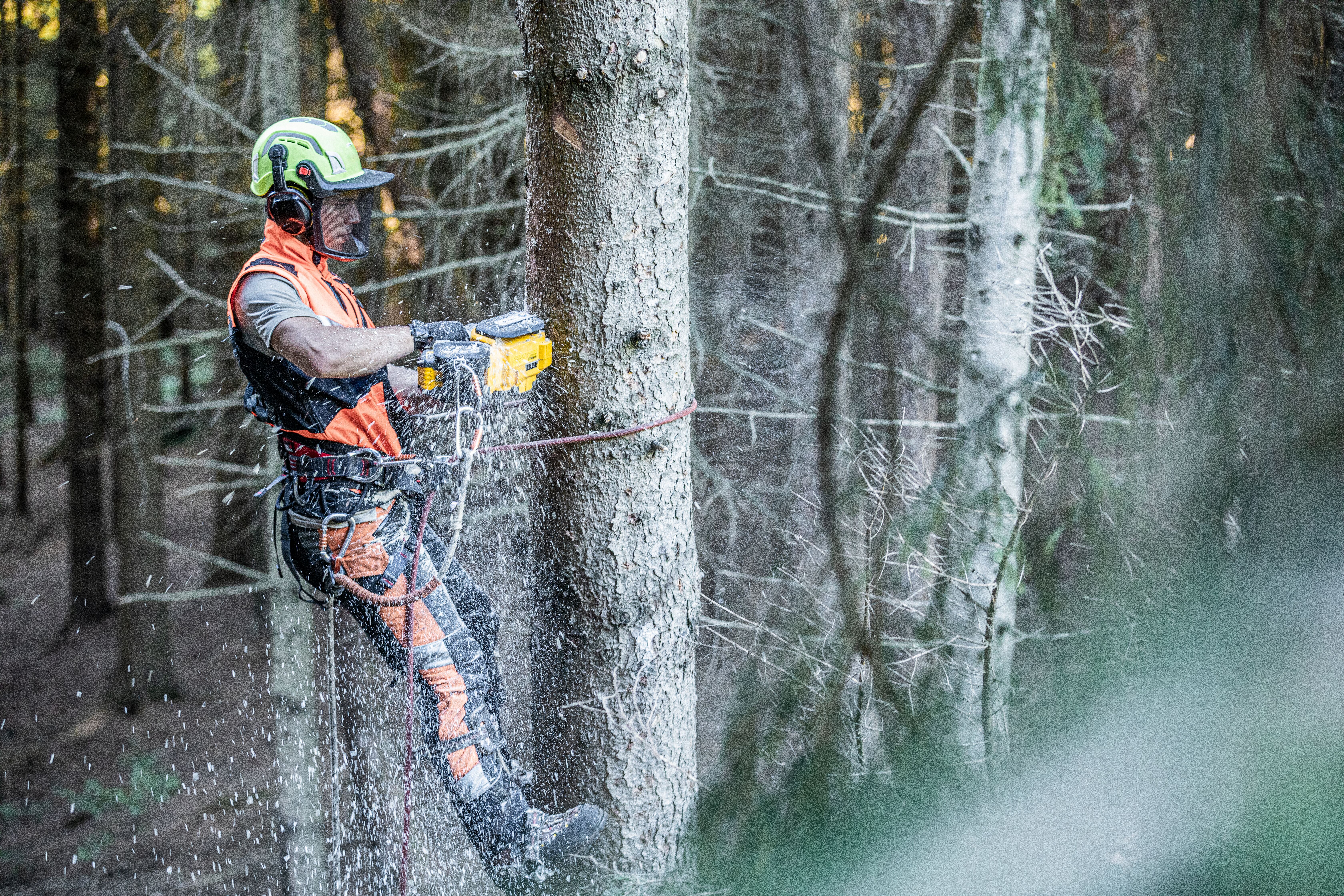 디월트 60V 체인톱 630(12")