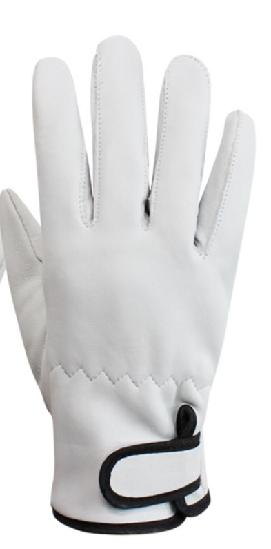 보급형 알곤장갑