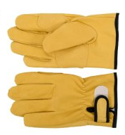 보급형 알곤장갑