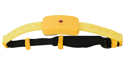 활선 접근 경보기